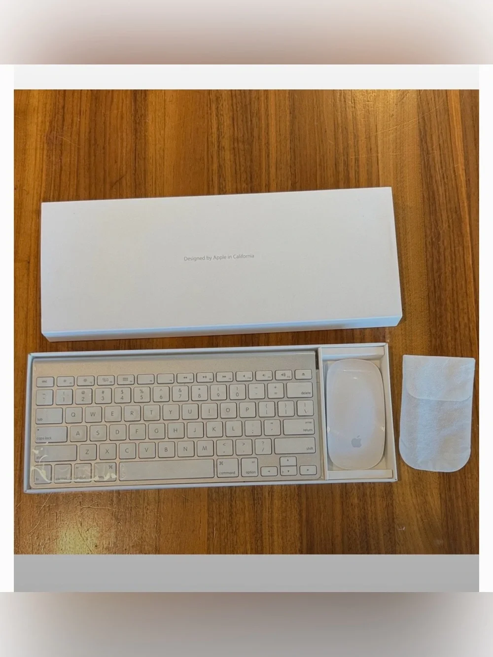 Apple magic mouse